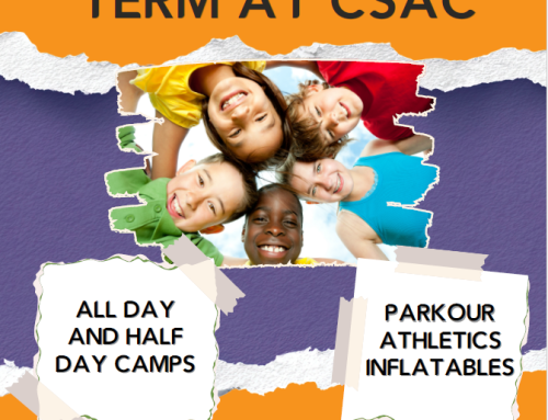 Chelmsford City Sports Half Term Camps